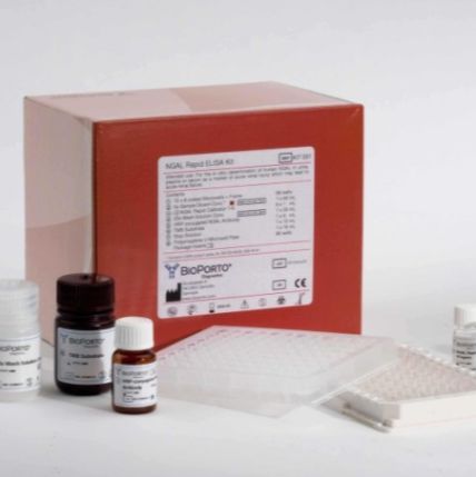 口蹄疫病毒A型检测试剂盒