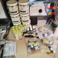 流式微球Quantum™ Simply Cellular® anti-Mouse IgG