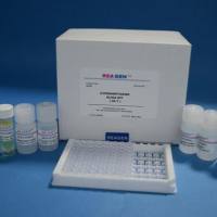 猪瘟病毒抗体检测试剂盒