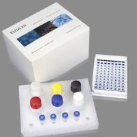 猪瘟病毒野毒株检测试剂盒