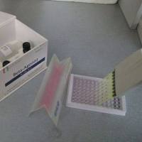 猪蓝耳病抗体检测卡