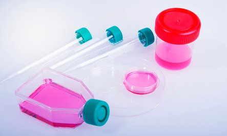 如何防止细胞培养污染