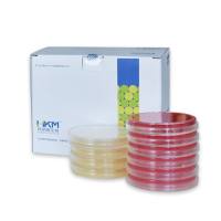 志贺菌显色培养基 志贺氏菌显色琼脂平板 志贺氏菌属生产厂家