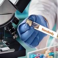 纳米抗体筛选