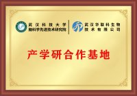 武汉科技大学产学研究基地