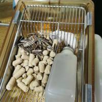 豚鼠代谢笼饲养实验服务