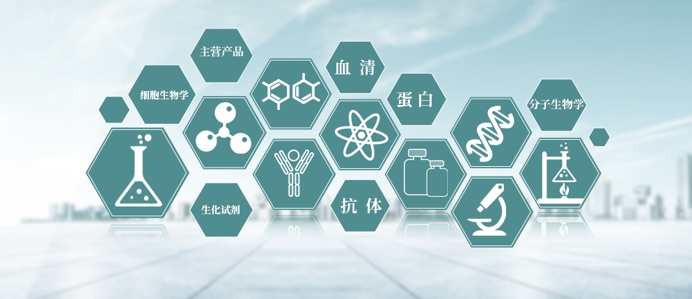 PathHunter® CXCR4 Total GPCR I