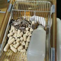 大鼠胰腺炎模型构建服务