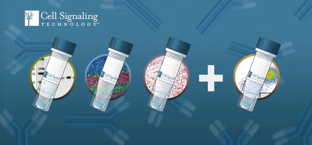 科研人的双十一提前来了！CST产品买三赠一*