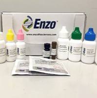 免疫组化双染试剂盒(鼠/兔一抗)