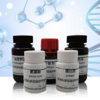 HitHunter® cAMP Assay for Small Molecules