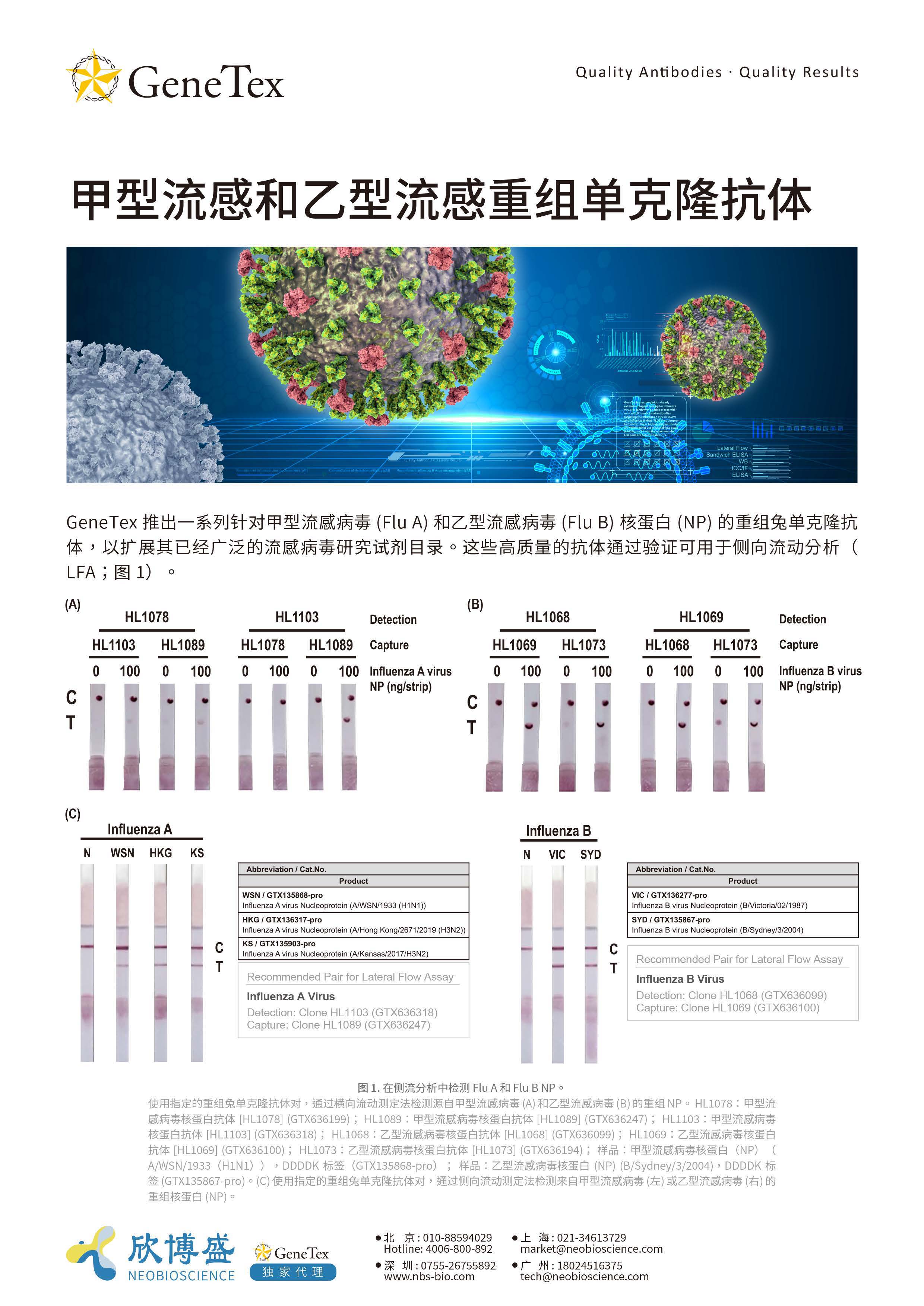 GeneTex-甲型流感和乙型流感重组单克隆抗体