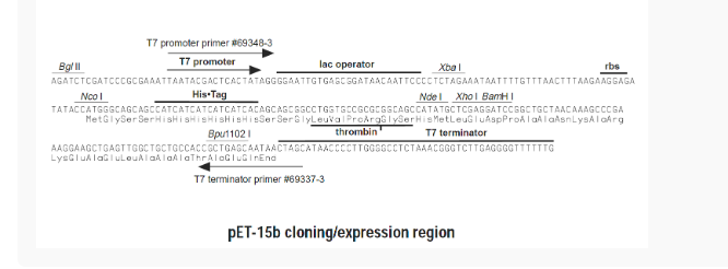 pET15b-Halo大肠表达质粒