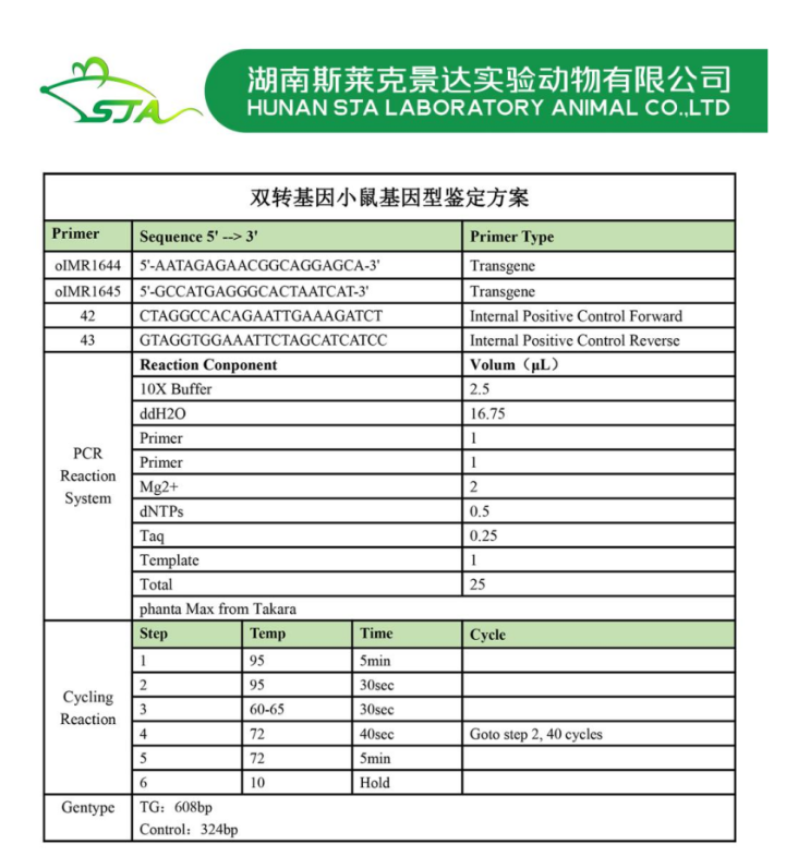 小鼠基因型鉴定，你get了吗？
