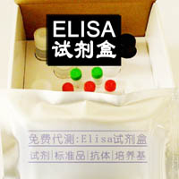人白介素18(IL-18)ELISA国产