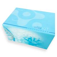 人原钙黏素1(PCDH1)ELISA试剂盒