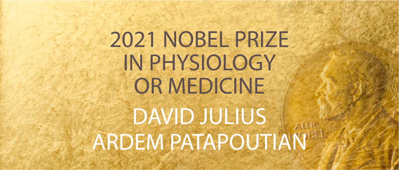2021诺贝尔奖生理学或医学奖-发现感知环境的受体