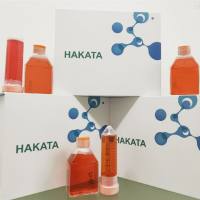 D3  小鼠胚胎干细胞