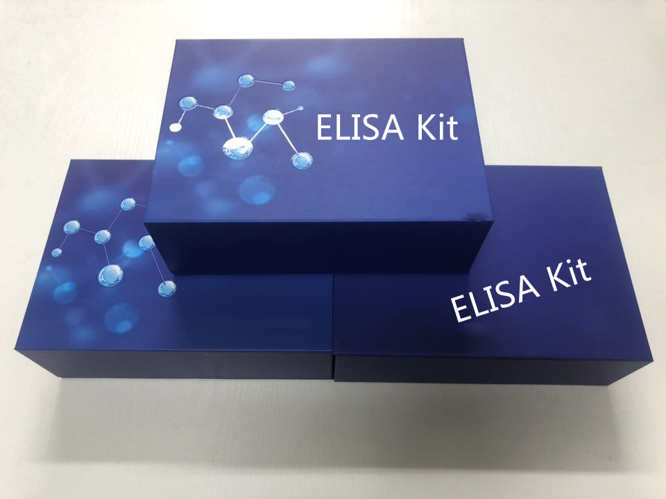 牛肝细胞生长因子（HGF）酶联免疫分析试剂盒使用说明书
