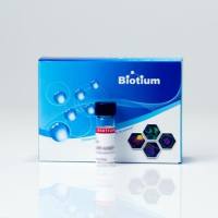 BIOTIN-XX, SUCCINIMIDYL ESTER (6-((6-((B 90052