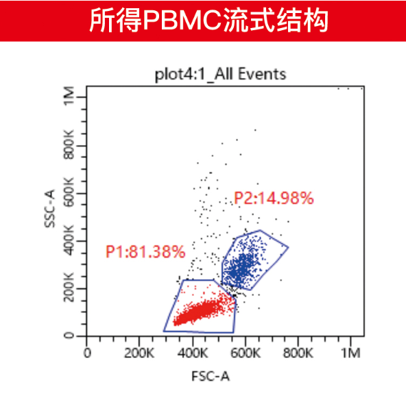 快速单个核细胞分离管