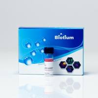 BIOTIN CADAVERINE, FREE BASE FORM 90079