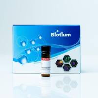 RHODAMINE 110 (HIGH PURITY) 80103