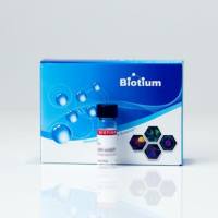 TS Biotin-XX ethylenediamine 92012