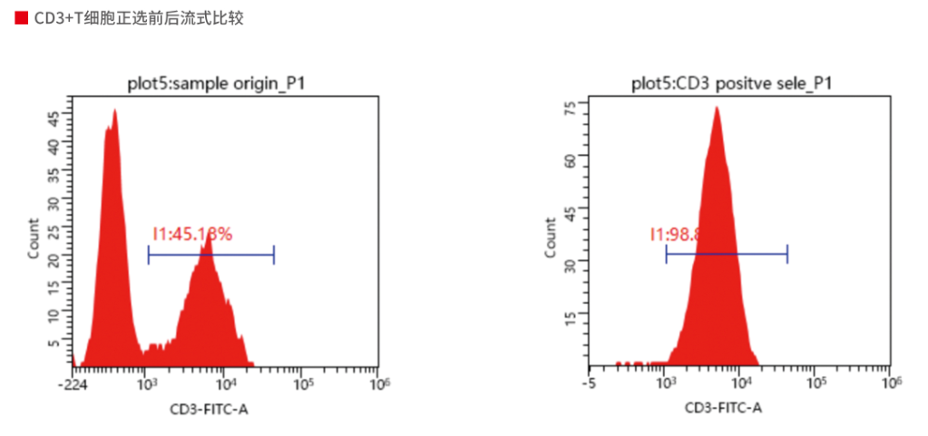 人CD3+T细胞分离试剂盒(正) 