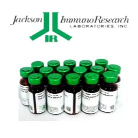 Jackson二抗Peroxidase-conjugated AffiniPure Goat Anti-Rat IgG (H+L) (min X Hu,Bov,Hrs,Ms,Rb Sr Prot) 