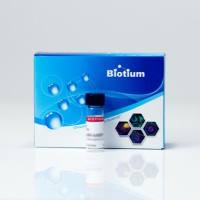 TS Biotin ethylenediamine