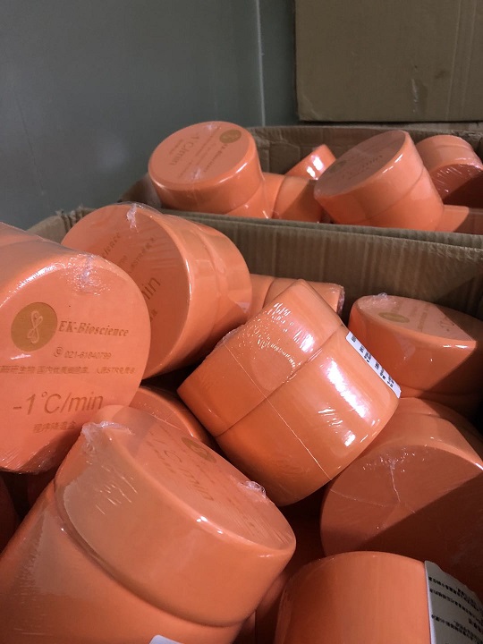  彭氏变形杆菌= ATCC 33519