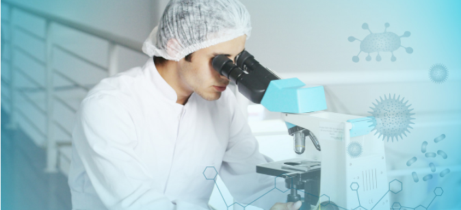 无菌脱纤维猫血/无菌脱纤维猫血/无菌脱纤维猫血