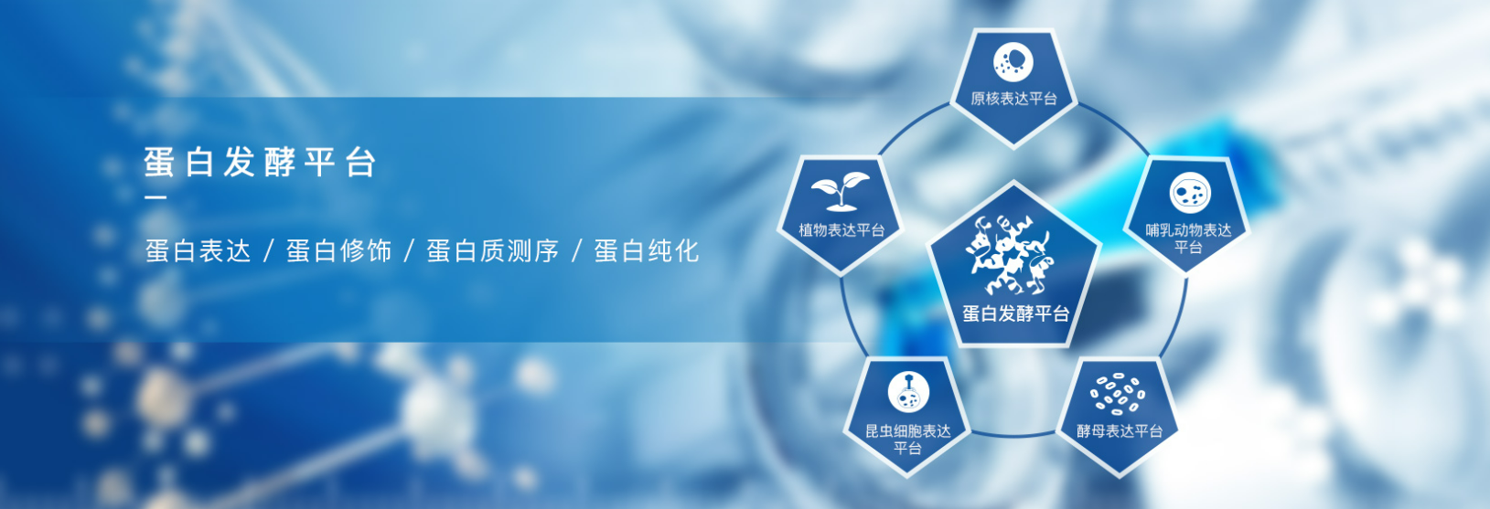 Recombinant Human Cystatin-A P