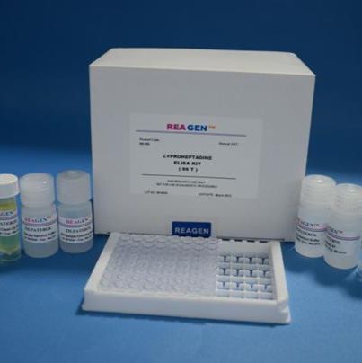 人B-淋巴细胞趋化因子1(BLC-1/CXCL13)ELISA试剂盒