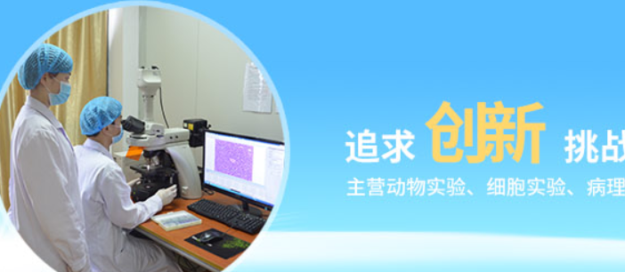 无菌脱纤维猫血/无菌脱纤维猫血/无菌脱纤维猫血