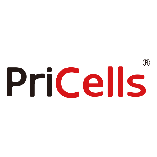 PriCells-小鼠视网膜微血管内皮细胞