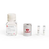 人CD14+单核细胞分离试剂盒(正)