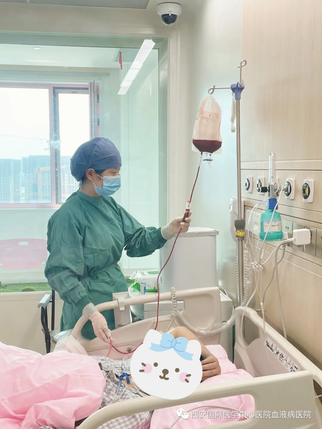 捐髓救母——血液病医院完成一例复发难治型半相合子供母 DSA 阳性单倍体造血干细胞挽救性移植