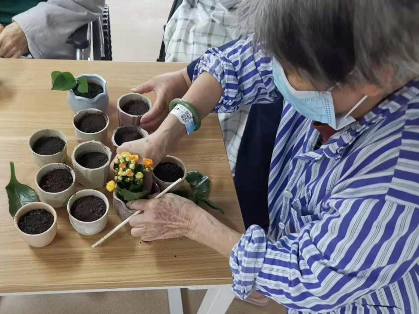 广州市东升医院举办「移植盆栽活动」