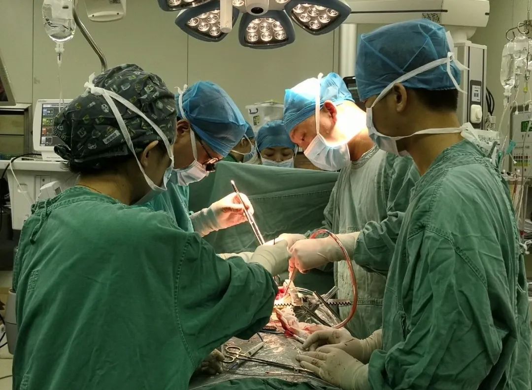 20 位先心病患儿在桂林医学院附属医院得到免费救治，其中包括一对双胞胎