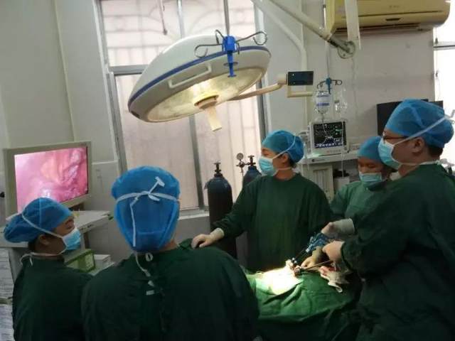 依托医联体，柳州市妇幼保健院融水分院成功开展全县首例单孔腹腔镜手术