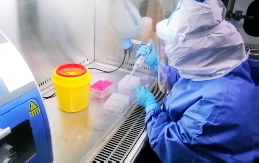 小小实验室累计检测标本 20 万，抗疫先进告诉你怎么做到的