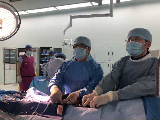 上海德达医院成功完成上海首例椎动脉药物洗脱支架植入手术
