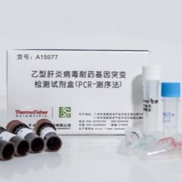 乙型肝炎病毒耐药基因突变检测试剂盒（PCR-测序法）