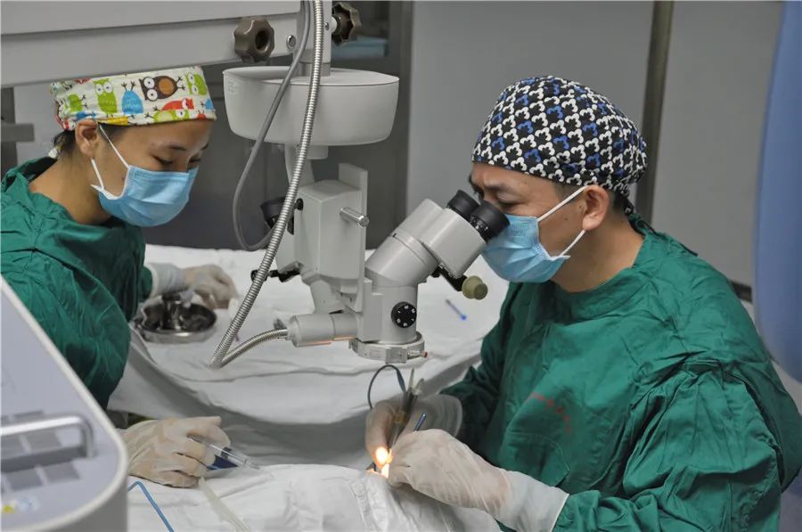 柳州市红十字会医院成功实施手术助白内障合并夜盲症患者恢复视力