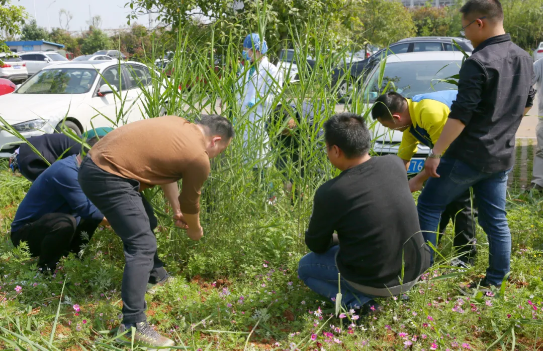 常德市第四人民医院:学党史,办实事,为患者营造舒适就医环境