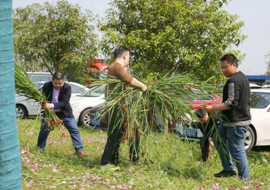 常德市第四人民医院:学党史,办实事,为患者营造舒适就医环境