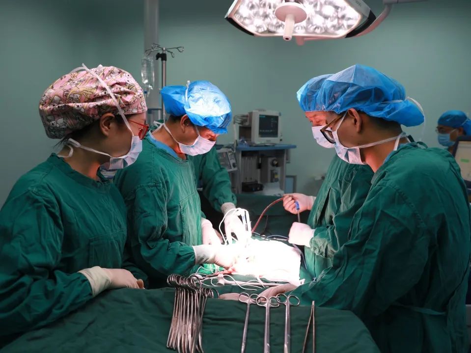 郑州大学第五附属医院成功开展院内首例高龄老人纳米刀消融术