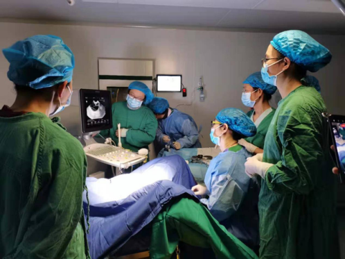 广西壮族自治区南溪山医院第一例试管婴儿患者成功进行胚胎移植